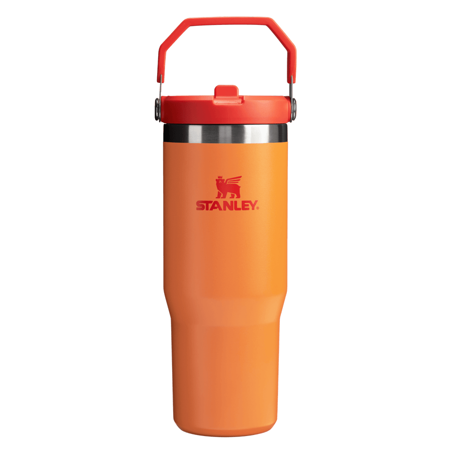Gourde Stanley avec Paille Pliable | 0.89L - Polynesia Market