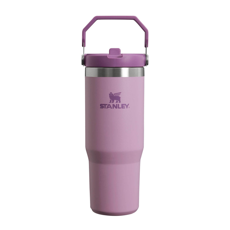 Gourde Stanley avec Paille Pliable | 0.89L - Polynesia Market