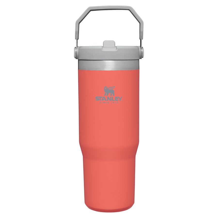 Gourde Stanley avec Paille Pliable | 0.89L - Polynesia Market
