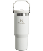 Gourde Stanley avec Paille Pliable | 0.89L - Polynesia Market