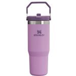 Gourde Stanley avec Paille Pliable | 0.89L - Polynesia Market