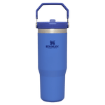 Gourde Stanley avec Paille Pliable | 0.89L - Polynesia Market