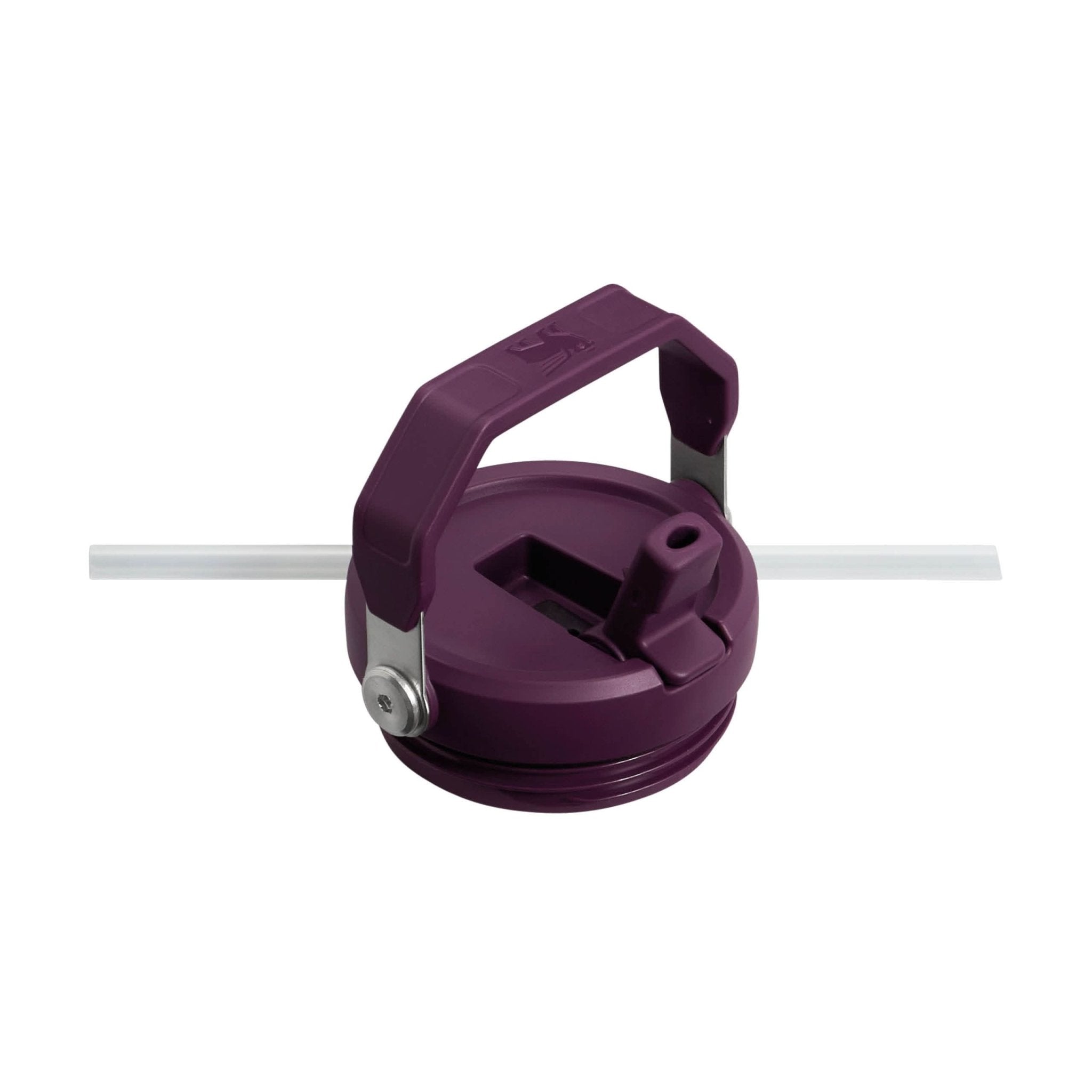 Gourde Stanley avec Paille Pliable | 0.89L - Polynesia Market