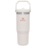 Gourde Stanley avec Paille Pliable | 0.89L - Polynesia Market