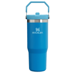 Gourde Stanley avec Paille Pliable | 0.89L - Polynesia Market