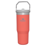 Gourde Stanley avec Paille Pliable | 0.89L - Polynesia Market