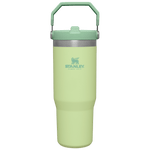 Gourde Stanley avec Paille Pliable | 0.89L - Polynesia Market
